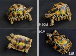 7號魚舖-立體濾材網袋(陶瓷環.洗衣袋.洗鞋袋.晾鞋袋) 歷史價格詳細信息