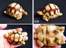 7號魚舖-獨家商品-仿真烏龜麵包造型吊飾(龜龜手腕墊.滑鼠墊.波羅麵包)軟軟-慢回彈-龜寶寶1隻賣場-缺貨中勿下單 歷史價格詳細信息