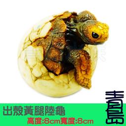 手工擬真 SPAULDING 斯伯丁 NBA 1/6磁性籃球模型 斯伯丁籃球 交換禮物 聖誕禮物 運動禮物 情人節禮物 歷史價格詳細信息