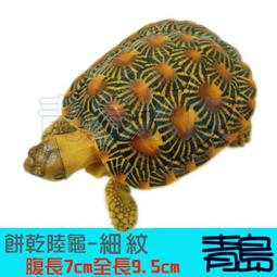 仿真餅乾零食 金色吊飾 餅乾 掛件 鑰匙圈 airpods耳機盒隨身碟吊飾/小禮物 歷史價格詳細信息