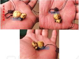 7號魚舖-獨家商品-仿真烏龜麵包造型吊飾(龜龜手腕墊.滑鼠墊.波羅麵包)軟軟-慢回彈-龜寶寶1隻賣場-缺貨中勿下單 歷史價格詳細信息