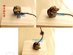 7號魚舖-獨家商品-仿真烏龜麵包造型吊飾(龜龜手腕墊.滑鼠墊.波羅麵包)軟軟-慢回彈-龜寶寶1隻賣場-缺貨中勿下單 歷史價格詳細信息