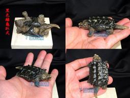 7號魚舖-獨家商品-仿真烏龜麵包造型吊飾(龜龜手腕墊.滑鼠墊.波羅麵包)軟軟-慢回彈-龜寶寶1隻賣場-缺貨中勿下單 歷史價格詳細信息