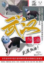 『胖虎館』代購 加一 海賊王 WCF 共鳴系列 第一彈 羅羅亞 索隆 GK 雕像 完成品 歷史價格詳細信息