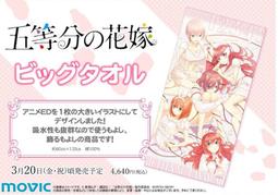 萌之屋-日版 TAITO 超級索尼子 大毛毯 歷史價格詳細信息