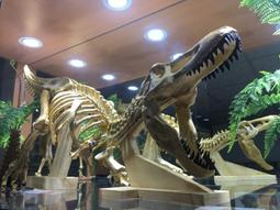 恐龍霸王龍稀有中國積木拼裝益智玩具成年難度巨大型新年春節禮物 歷史價格詳細信息