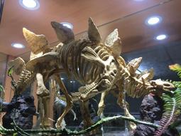 1恐龍侏儸紀Schleich史萊奇戰隊怪獸COLLECTA英國Procon動物模型88397黑面琵鷺公仔一佰三十一元起標 歷史價格詳細信息