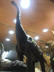 1恐龍侏儸紀Schleich史萊奇戰隊怪獸COLLECTA英國Procon動物模型88397黑面琵鷺公仔一佰三十一元起標 歷史價格詳細信息