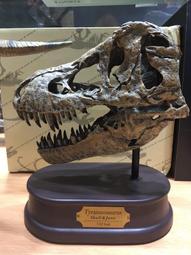 【售罄 】侏羅紀恐龍 / 三角龍  / OPP袋裝【熊熊玩積木】 歷史價格詳細信息