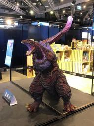 Enjoy it運動壓力襪專業健身襪子女中筒秋冬季肌能壓縮跑步小腿襪 歷史價格詳細信息