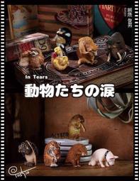 朝隈俊男-龍年招財公仔 (暴富綠) 歷史價格詳細信息