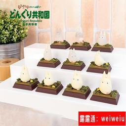 龍貓公仔宮崎駿動漫毛絨玩具大號玩偶抱枕女友兒童禮物男    露天市集  全台最大的網路購物市集 歷史價格詳細信息