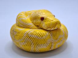 緬甸黃金樟木料原料癭木樹瘤茶盤幹泡臺底座支持訂製 歷史價格詳細信息