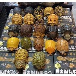 動物星球偵探事件簿2推理要在放學後【城邦讀書花園】 歷史價格詳細信息