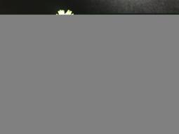 龍珠 YW GK 魔化貝吉塔 雙頭彫賽亞人頭彫 1/4可發光盒裝手辦模型 歷史價格詳細信息