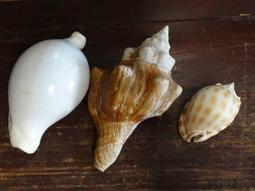 ▲美好時光▼台灣早期-丁丁與平平 抽當/托空組 老玩具/懷舊童玩 歷史價格詳細信息