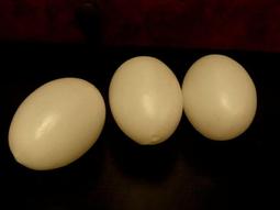 （@早期老台灣懷舊復古恐龍大王/火星大王/黑松/感冒優/老玩具請參考@） 歷史價格詳細信息