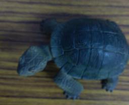 塑膠材質 彩色電話線髮圈 螺旋狀 隨機出貨不挑色 不咬髮 基本款 單個價【HTA005】Z.MO鈦鋼屋 歷史價格詳細信息