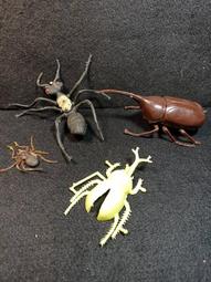 硬塑荷蘭網鐵絲網護欄網圍欄網荷蘭網養雞網防護隔離網養殖格柵 歷史價格詳細信息