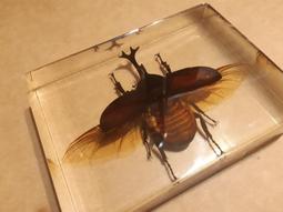 水晶標DTF冷撕AB轉印膜雙面膠UV列印標籤貼紋身貼不拉斯粘性強 歷史價格詳細信息