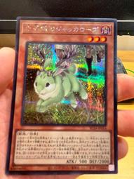 遊戲王 RC04-JP041 宵星的機神 丁吉爾蘇 亮面 歷史價格詳細信息