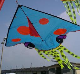 【風箏小舖】[風箏小舖] 軟體風箏-章魚 軟體 風箏 (紅,黑,桔,紫,蘭,綠,粉)  歡迎批發團購可另有優惠!! 歷史價格詳細信息