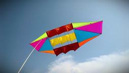 【風箏小舖】[風箏小舖] 軟體風箏-章魚 軟體 風箏 (紅,黑,桔,紫,蘭,綠,粉)  歡迎批發團購可另有優惠!! 歷史價格詳細信息