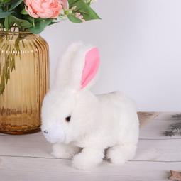 249元免運費~9H鋼化玻璃保護貼膜 12 pro 11 XS XR iPhone7 i8 plus  i6s IX 歷史價格詳細信息