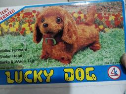 香港製NDF休閒褲 童裝 男生短褲 女生短褲 卡其褲 歷史價格詳細信息