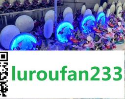 【歡迎查詢】寶可夢 萬代bandai 日版 收藏卡 觀賞卡 貼紙卡 歷史價格詳細信息