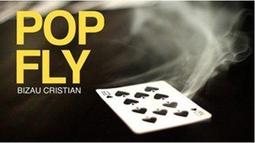 (魔術小子) [A081] French Kiss by Wayne Houchin 強效紙牌魔術 歷史價格詳細信息