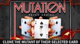 Mutation and Morphosis -9783037786185 歷史價格詳細信息