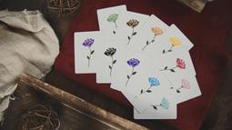 [fun magic] 心靈感應卡 思維透視卡 猜出觀眾的牌 心靈魔術 撲克牌魔術 歷史價格詳細信息