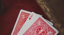 把丟掉的健康撿回來蔬菜篇 陳佳麗 2013-1 華夏出版 歷史價格詳細信息