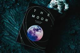 無點數撲克牌 Limited Late 19th Century Square Faro Playing Cards 歷史價格詳細信息