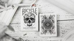 Dead Souls 死靈魂/Nikolai Gogol【禮筑外文書店】[9折] 歷史價格詳細信息