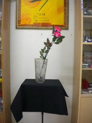 最愛的花草茶全圖解 張偉 等編 2014-6 中國紡織 歷史價格詳細信息