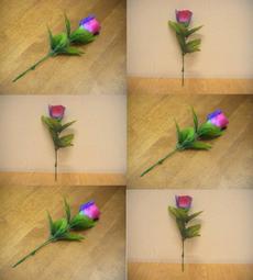 (售完)鹽燈 鹽燈專賣>>  鹽燈 喜馬拉雅山玫瑰鹽燈聚寶盆~居家風水、招財納福、擋煞避邪、氣氛營造 歷史價格詳細信息