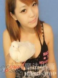 雙職事奉：扭轉歷史的16位聖經人物【城邦讀書花園】 歷史價格詳細信息
