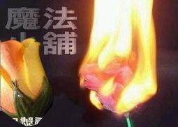 【買二送二魔莉絲彈性襪】280DEN西德棉九分內搭褲襪一組四雙(壓力襪/顯瘦腿襪/醫療襪/九分襪/靜脈曲張襪) 歷史價格詳細信息