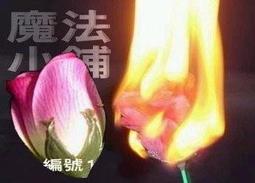 【買二送二魔莉絲彈性襪】280DEN西德棉九分內搭褲襪一組四雙(壓力襪/顯瘦腿襪/醫療襪/九分襪/靜脈曲張襪) 歷史價格詳細信息