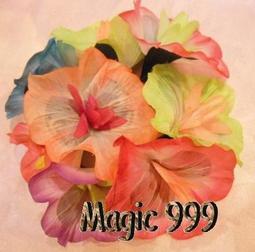 [MAGIC 999] 魔術道具 點點絲巾 斑點布 斑點消失 歷史價格詳細信息