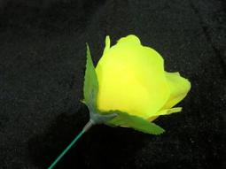 [MAGIC 999]魔術道具~高級銀色三杯球~特價優惠199NT 歷史價格詳細信息