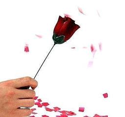 特賣-一鹿有你情侶手鏈ins不掉色小眾設計男女學生閨蜜七夕情人節禮物 歷史價格詳細信息