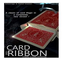 (魔術小子) Card Into Necklace 項鍊找牌 牌入項鍊 （道具+教學） 歷史價格詳細信息