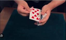 Paint by Sticker: Cats【禮筑外文書店】[79折] 歷史價格詳細信息