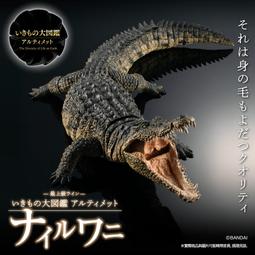 [22年2月 預購] PB魂商店限定劇場版 百獸戰隊牙吠連者 怒吼吧 火山 歷史價格詳細信息