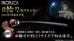 高雄詠揚 特價 缺貨 日版 Ensky 吉卜力 宮崎駿 龍貓 軌道地圖 貓巴士 松鄉套組 + 龍貓本體 歷史價格詳細信息