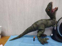 侏儸紀公園 失落的世界 Jurassic Park 珍藏版DVD 史蒂芬&middot;史匹柏導演 ,sp2306 歷史價格詳細信息