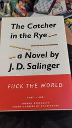 麥田捕手的女孩 [DVD] 珍妮佛安妮斯頓 柔伊黛絲喬諾 傑克葛倫霍 約翰萊里 主演[台灣正版] 歷史價格詳細信息